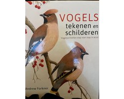 Vogels tekenen en schilderen