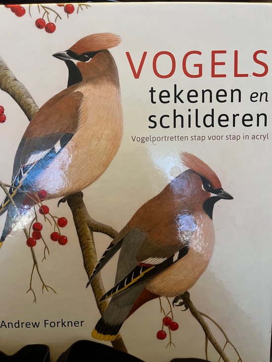 Vogels tekenen en schilderen - cover