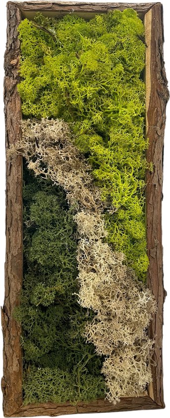 Mos wandpaneel berkenpaneel mos schilderij rechthoek van rendiermos kleur groen springgroen naturel