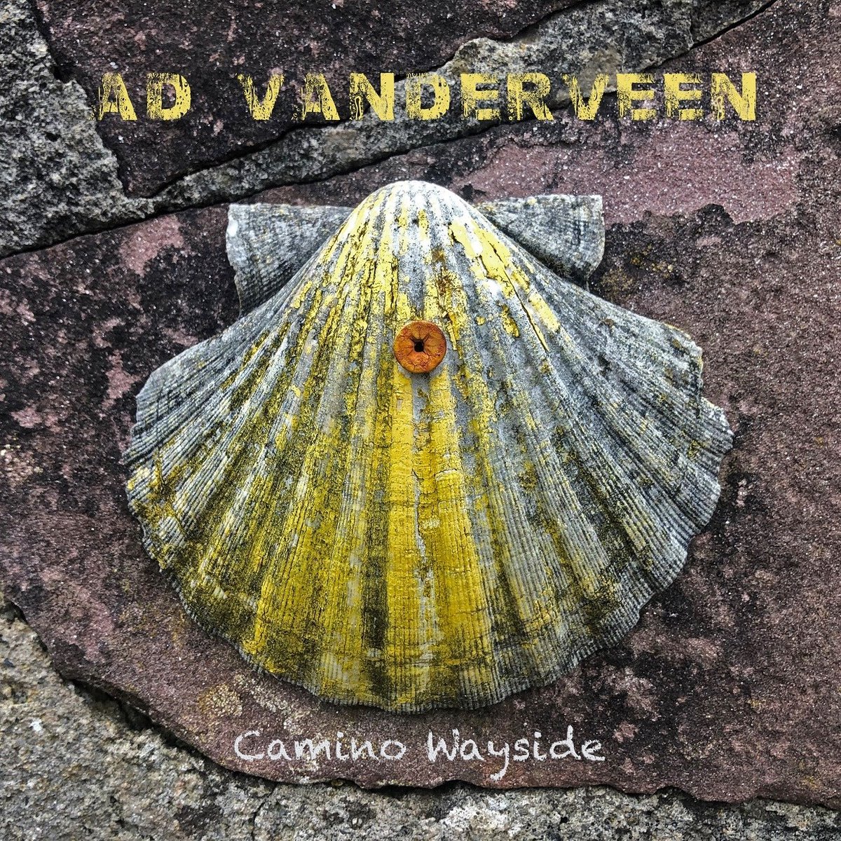 Ad Vanderveen - Camino Wayside (CD)