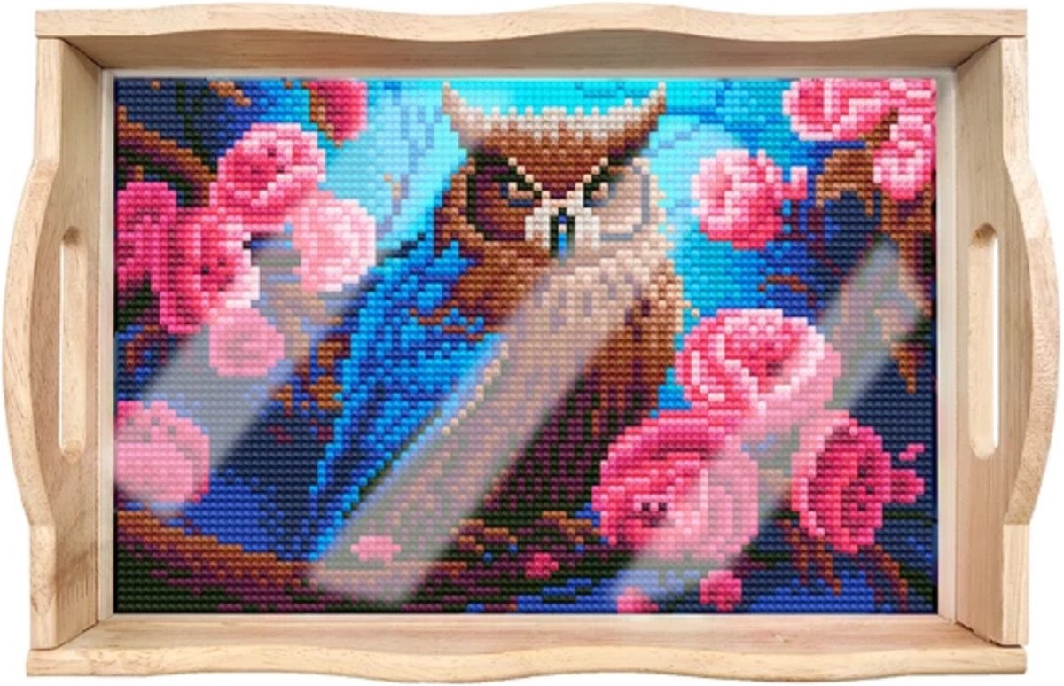 Dienblad 206 - Uil - Diamond painting - compleet pakket - Diamond painting by Wietske