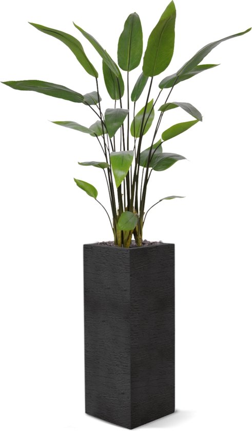 Plante artificielle Water Canna 120 cm