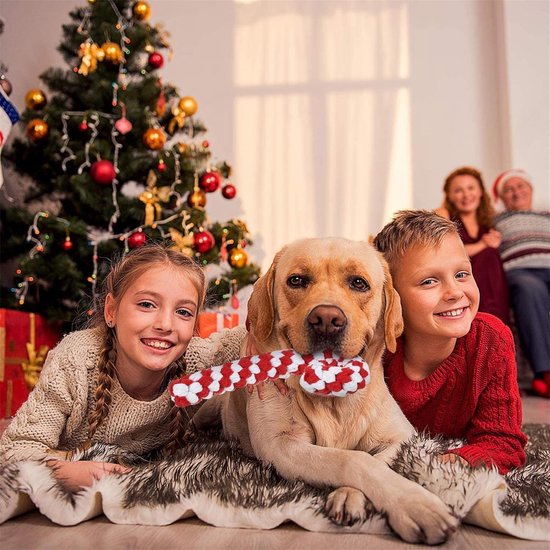 2 STKS Pluche Hond Speelgoed 12.2 Giggles Interactieve Hond Speelgoed Grappige Sigaret Vorm Pluche Hond Kauwspeelgoed Voor Puppies Kleine Middelgrote Honden