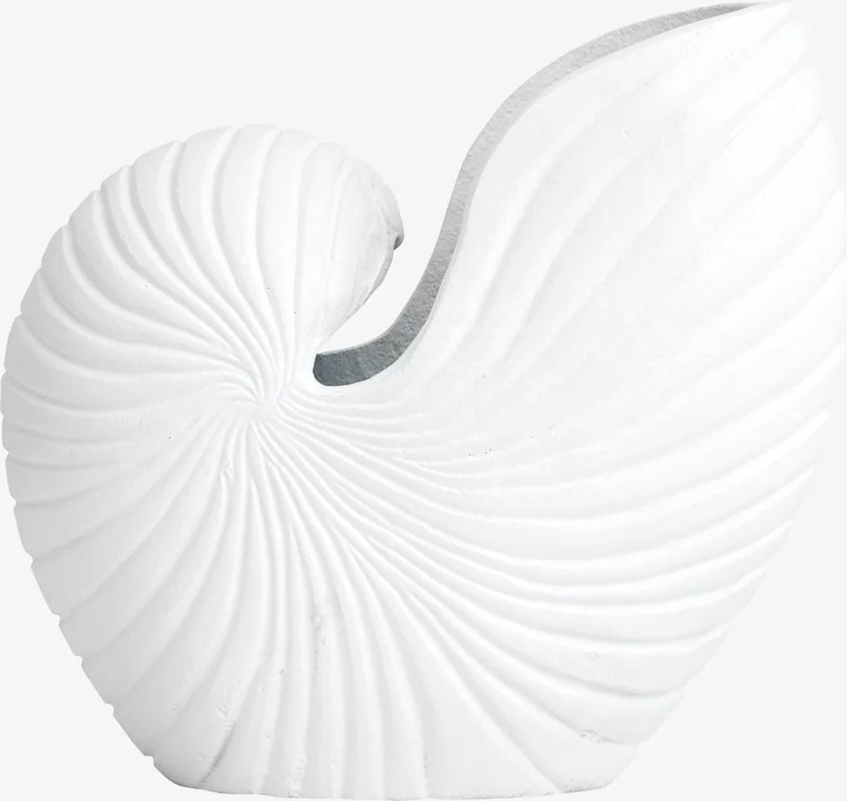 Vaas Bloempot Schelp Rakitu