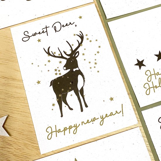 Wenskaarten Sweet Deer Happy New Year - Pak van 10 stuks inclusief enveloppes - Kerst & Nieuwjaar - Plantbare kaarten Bloom Your Message