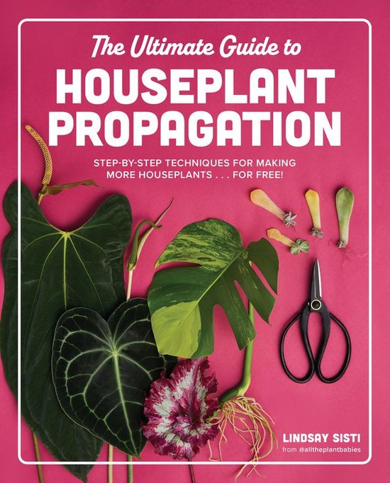 The Ultimate Guide to Houseplant Propagation - cover