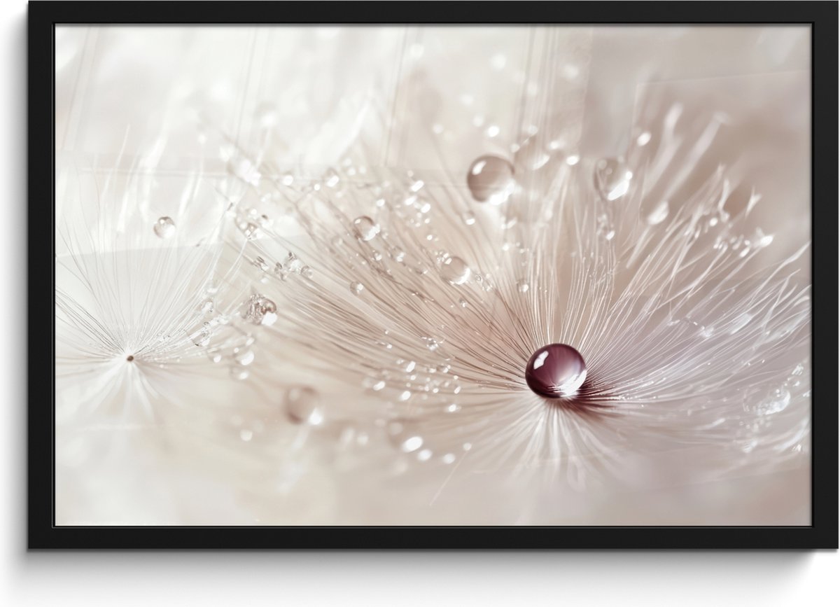 FrameYourWall Poster in lijst - Fotolijst 60x40 cm - Posters - Bloem - Abstract - Wit - Water - Natuur - Posterlijst zwart - Decoratie - Wanddecoratie woonkamer - Muurdecoratie slaapkamer Paardenbloem - Abstract