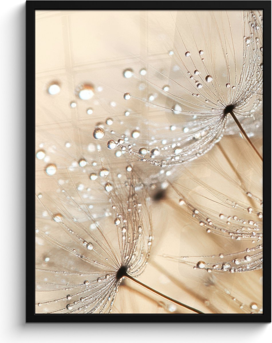 FrameYourWall Poster in lijst - Fotolijst 60x80 cm - Posters - Paardenbloem - Abstract - Natuur - Beige - Posterlijst zwart - Decoratie - Wanddecoratie woonkamer - Muurdecoratie slaapkamer Paardenbloem - Water