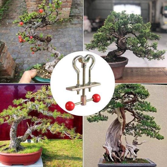 Takkenscharen Bonsai boom Tools - Modulator Kofferbakafsteller Snoeien Tuin  | bol