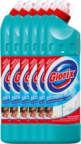 Glorix extended power Eucalyptus bleek Javel 6x750ML