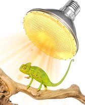 Terrarium lampen kopen? Warmtelampen, UV-lampen, LED