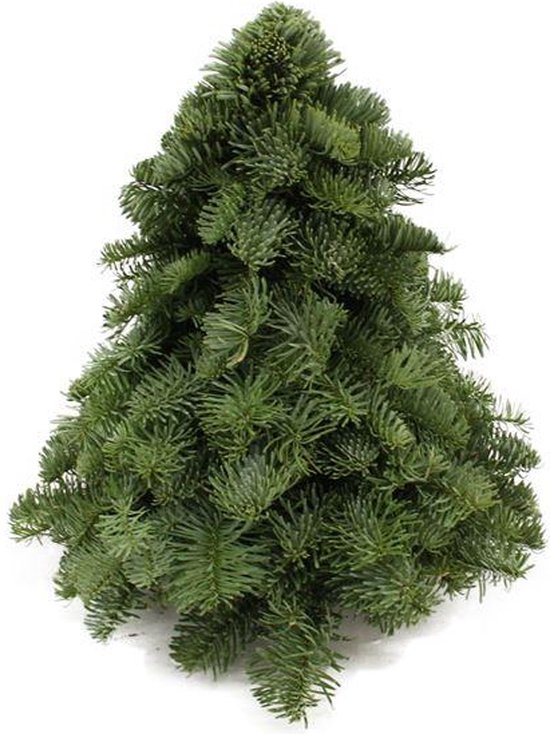 2 stuks De Nobilis Kerstboom , Compacte Vorm, Kerst 30cm