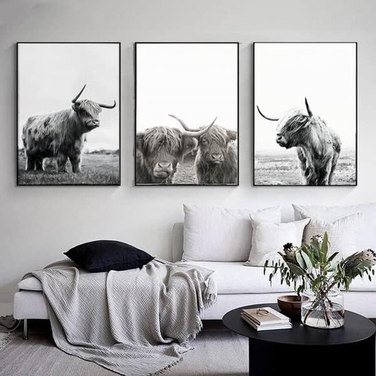 Dazzlewall 3Pcs Ingelijste Boho Abstracte Kunst Aan de Muur Decor, Zwart-Wit Geometrische Canvas Kunst Aan de Muur voor Slaapkamer Woonkamer Decor 12x16 dium