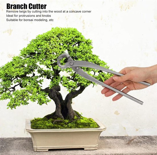 Bonsai Snoeischaar Roestvrijstalen Concave Draagbare Takkensnijder - Tuinieren Boom 11,6 Inch . van DSqlui조각 — afbeelding 2