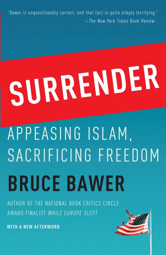 ISBN Surrender, Livre broché, 352 pages