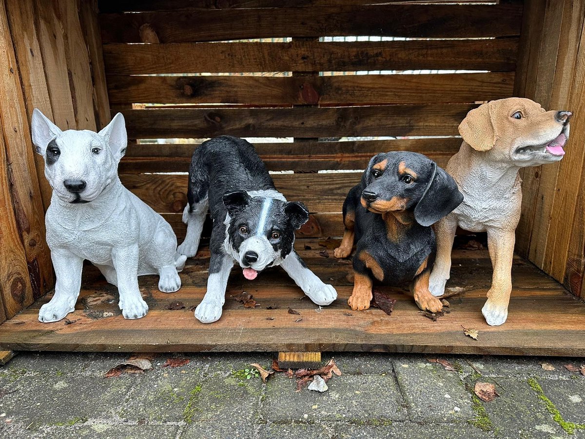 Kunst Creatieve Eenvoudige Kleurrijke Bull Terrier Ornamenten Standbeeld Hars Huisdier Hond Beeldje Ambachten Woondecoratie Kleur Moderne Kantoor Desktop Craft (G861 RB
