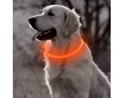Oranje LED Halsband Hond - Maat M | Lichtgevende Hondenhalsband USB Oplaadbaar | Verlichte Veiligheids Halsband voor Middelgrote Honden