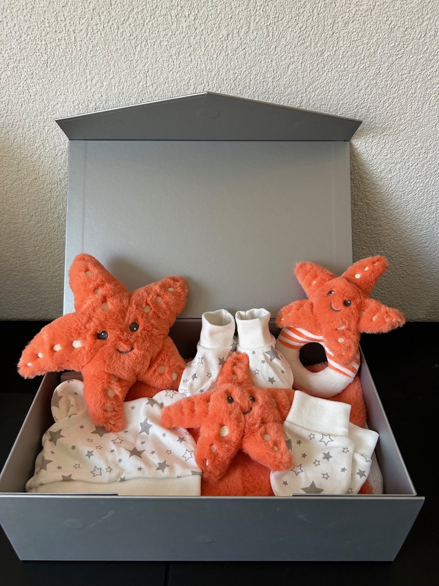 Kraamcadeau Keeltoys Zeester
