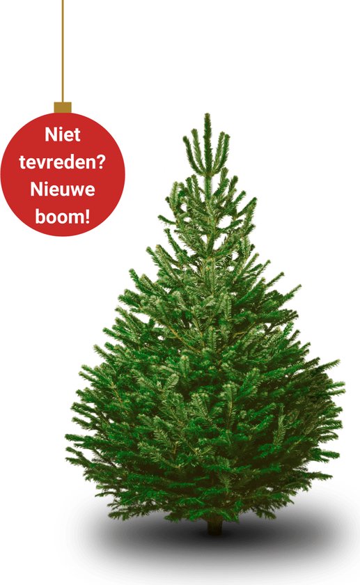 Nordmann Kerstboom Klein 120cm - 140cm