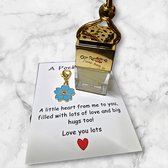 Autoparfum Vergeet Me Nietje - Auto parfum Orchids - 8 ml - Traditional Ritual Overseas - Vanille Orchid - Autogeur - Auto Luchtverfrisser - Auto Geurverfrisser - Valentijnsdag - Vaderdag - Moederdag - Verjaardagscadeau