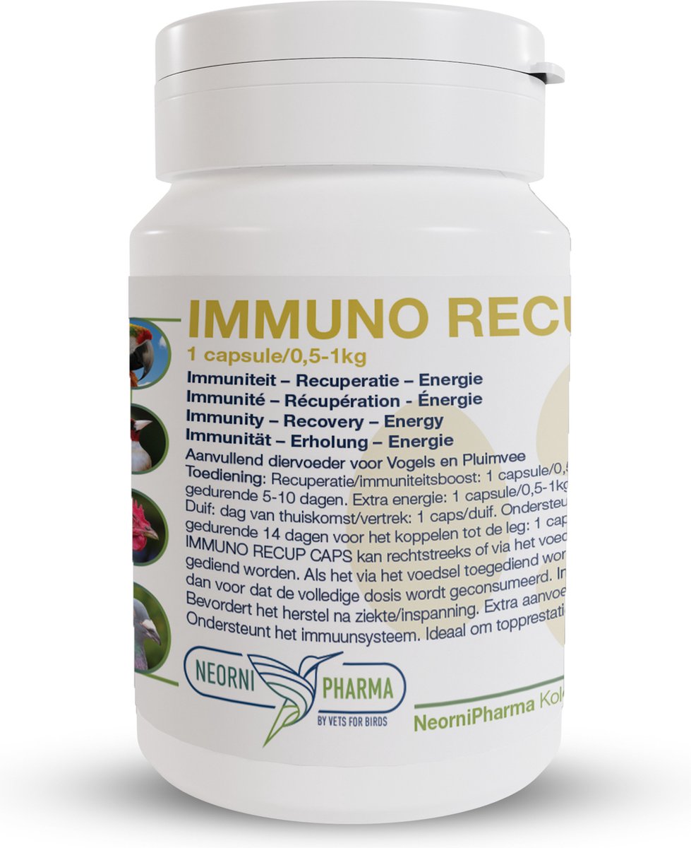 Immuno recup caps: herstel en immunsysteem bevorderend