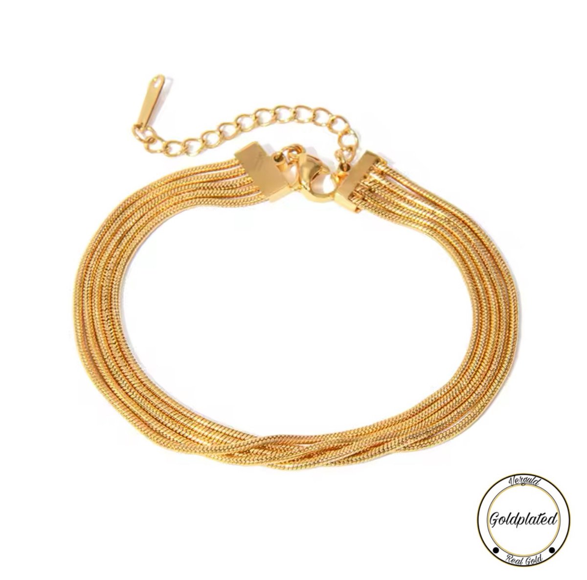 Borasi Dubbele Snake Armband | Goldplated | Snake Schakel | Goudkleurig | Dames Sieraden |