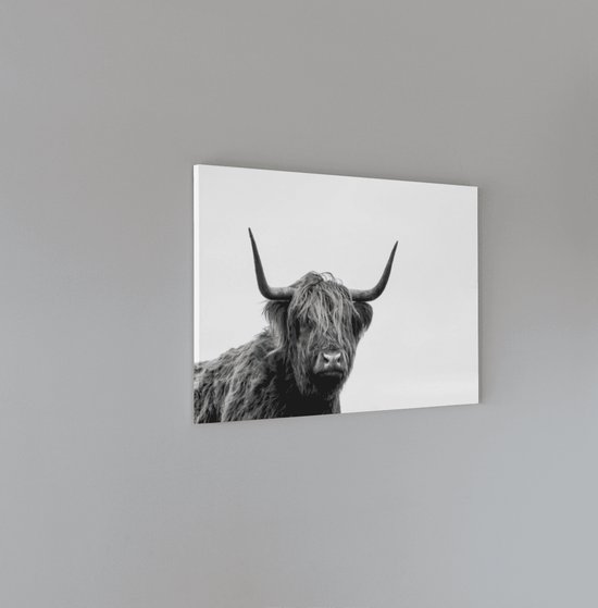 Peinture sur toile - Bovins des Highlands - Art murale - 150x100x2 cm