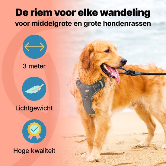 Golden Retriever portant un harnais gris sur la plage, avec des icônes pour 3 mètres de long, léger et de haute qualité.