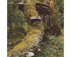 Jan Jelinek - Kosmischer Pitch (LP)