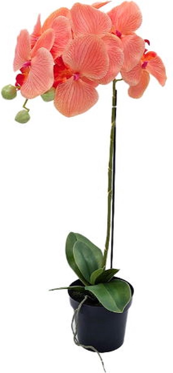 Orchidee kunstplant 1-tak 55 cm, oranje Buitengewoon de Boet