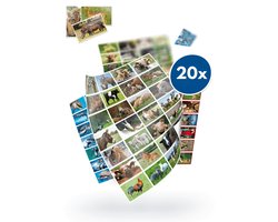 Stammetjes - Beloningsstickers - Dieren - 560 stuks