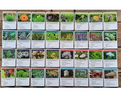 Kwartet Geneeskracht van de Natuur