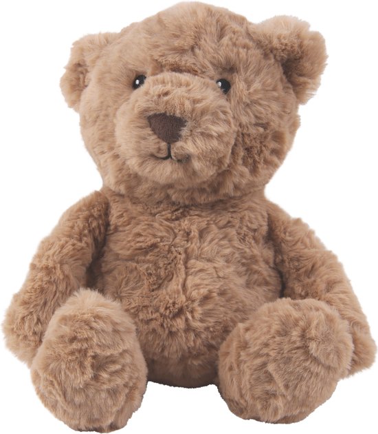 Bruine teddybeer met zachte vacht en donkerbruine neus en ogen, zittend.