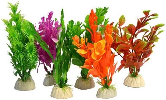 Superfish aqua plants s (10 cm) 6 stuks