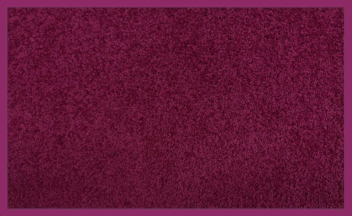 Colorwave deurmat Paars/ Lila - 60 x 80 cm - antislip - wasbaar - rand in zelfde kleur als mat