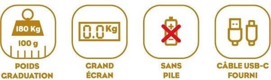 Pèse-personne - LITTLE BALANCE - 8729 - Tortues dorées métallisées - USB réparable - 180 kg / 100 g - Rose