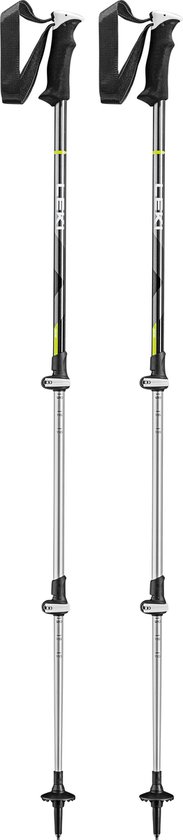 Bâton de randonnée télescopique Leki Squamo 110 - 145 cm 65228711 gris