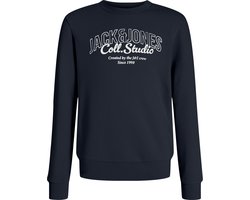 Jack&Jones mini jongens trui MAKOTO Sky Captain Big Print Regular Fit