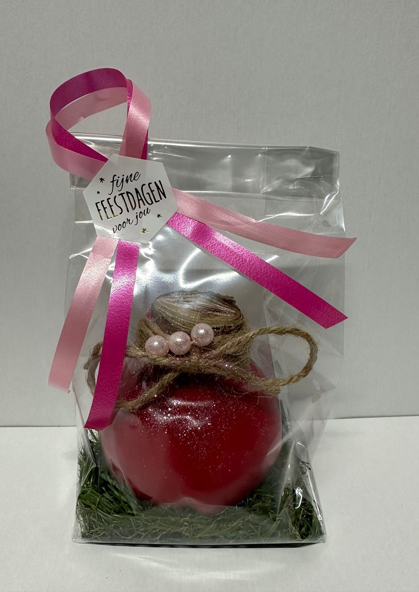Wax Amaryllis Roze in leuke geschenkverpakking - relatiegeschenk