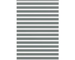 vidaXL - Zebra - rolgordijn - 155x230 - cm - stofbreedte - 150,9 - cm - donkergrijs