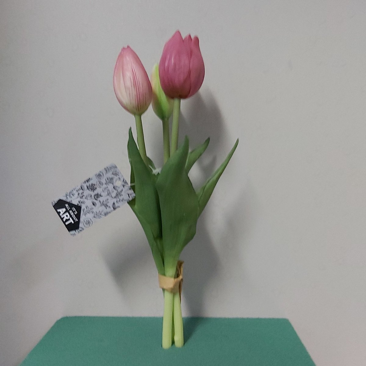 Nova Nature Holland tulp bundel Sally x3 25cm roze