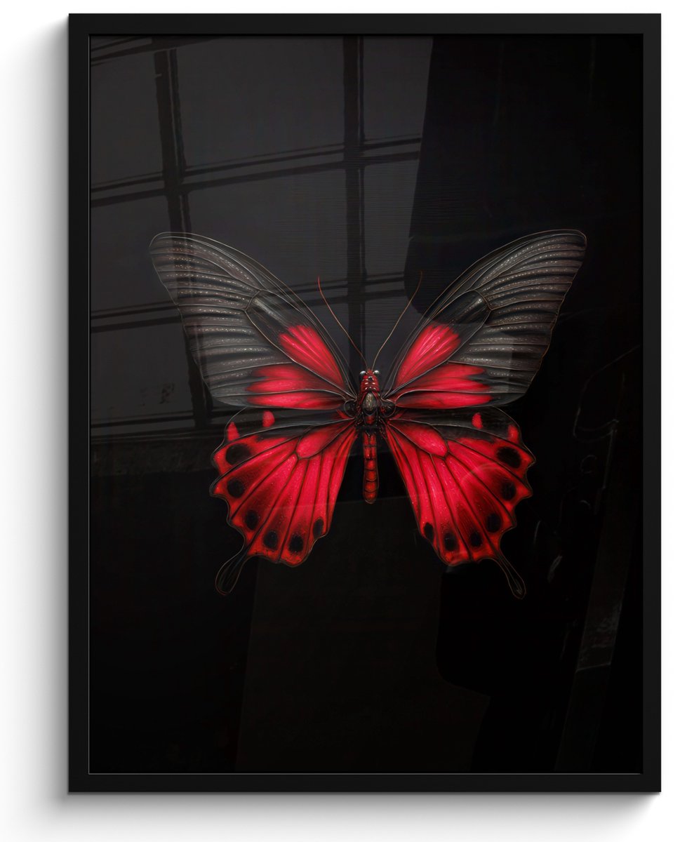 FrameYourWall Poster in lijst - Fotolijst 50x70 cm - Posters - Vlinder - Rood - Contrast - Posterlijst zwart - Decoratie - Wanddecoratie woonkamer - Muurdecoratie slaapkamer
