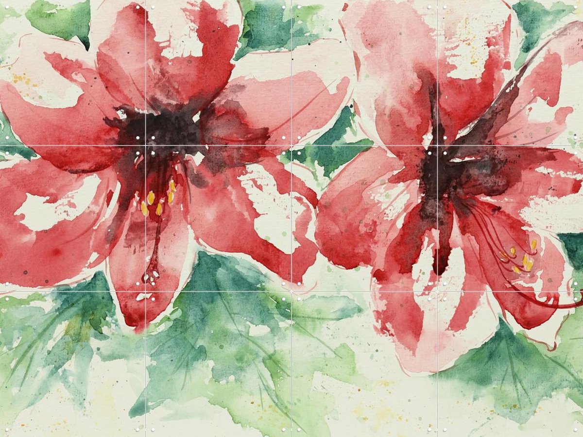 IXXI Amaryllis, Natalie Bruns - 80 x 60 cm - Gratis ophangtool - Grote wanddecoratie en posters - Kleurrijk, Aquarel, Impressionisme, Woonkamer