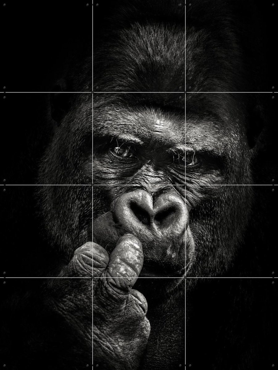 IXXI Attitude, Christian Meermann & Various - 60 x 80 cm - Gratis ophangtool - Grote wanddecoratie en posters - Fotografie, Woonkamer, Mancave