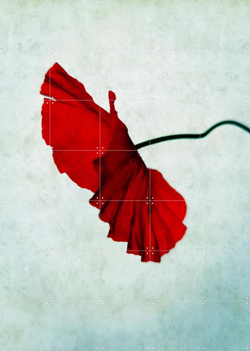 IXXI Red, Angelo Cerantola - 100 x 140 cm - Gratis ophangtool - Grote wanddecoratie en posters - Kleurrijk, Minimalisme, Fotografie, Slaapkamer