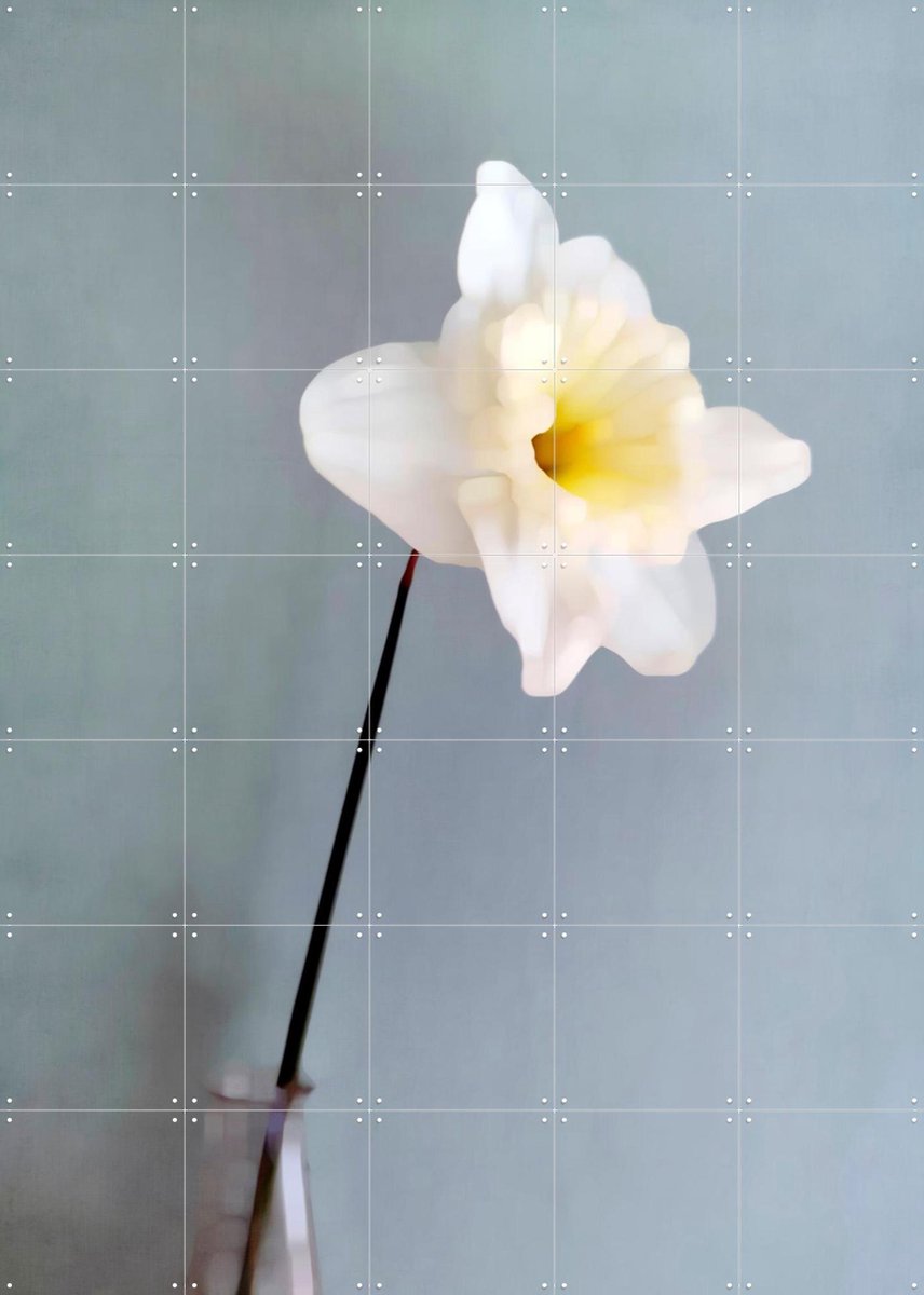 IXXI Narciso, Angelo Cerantola - 100 x 140 cm - Gratis ophangtool - Grote wanddecoratie en posters - Kleurrijk, Fotografie, Slaapkamer, Woonkamer