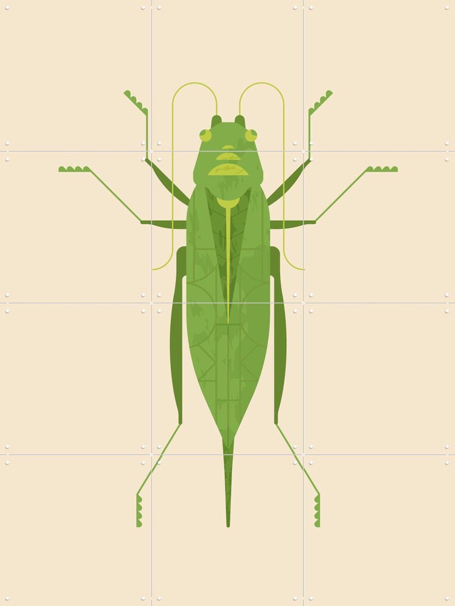 IXXI Large Green Saber Grasshopper, Studio Kars + Boom - 60 x 80 cm - Gratis ophangtool - Grote wanddecoratie en posters - Illustraties, Grafisch