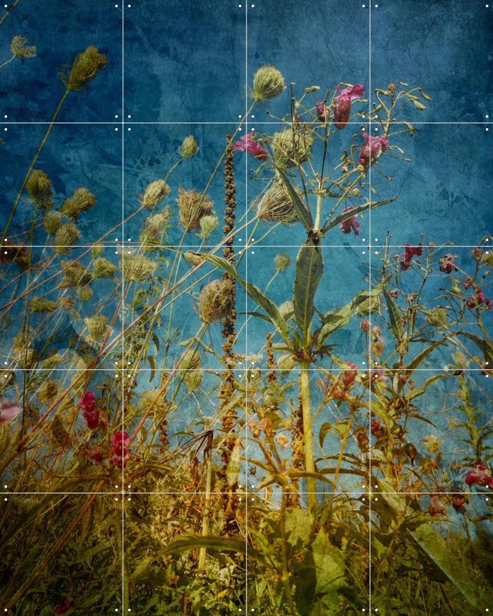 IXXI Heat Flowers, Angelo Cerantola - 80 x 100 cm - Gratis ophangtool - Grote wanddecoratie en posters - Vintage, Kleurrijk, Naturalisme, Fotografie