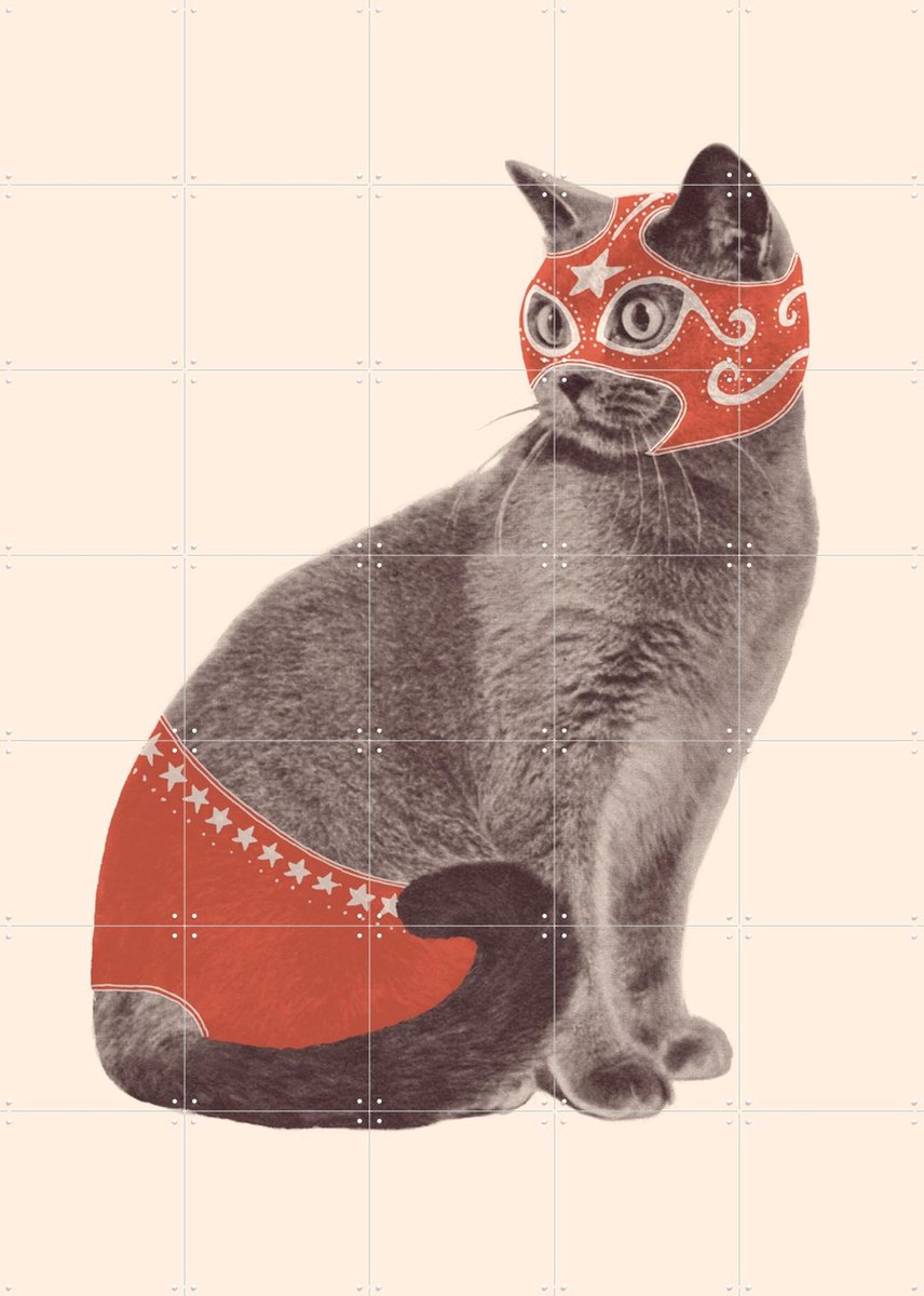IXXI Chat Catcheur, Florent Bodart - 100 x 140 cm - Gratis ophangtool - Grote wanddecoratie en posters - Fantasierijk, Speels, Vintage, Illustraties