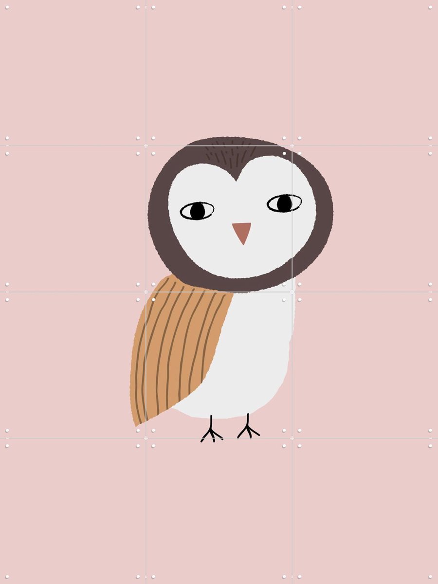 IXXI Owl Rose, Little Otja - 60 x 80 cm - Gratis ophangtool - Grote wanddecoratie en posters - Cartoonesk, Fantasierijk, Illustraties, Grafisch